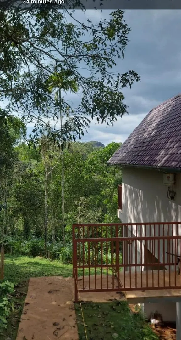 Preethys Holiday Home Munnar Homestay